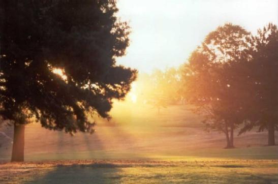 White River Golf Lodge ภายนอก รูปภาพ